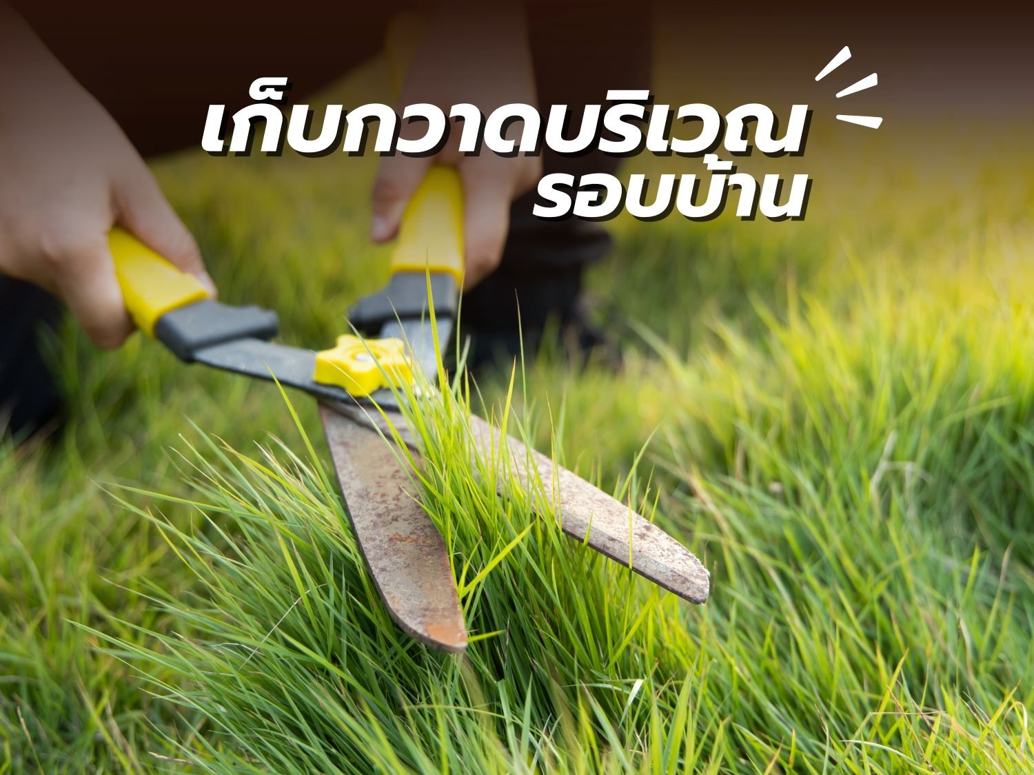 สัตว์ร้าย หน้าฝน3.jpg